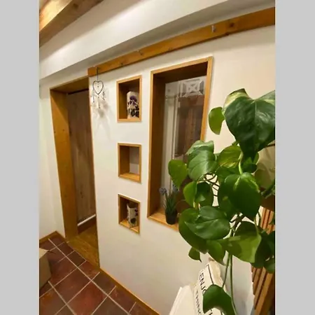 Im Westerwald Westerwaelder Herzstueck Langenbach bei Kirburg