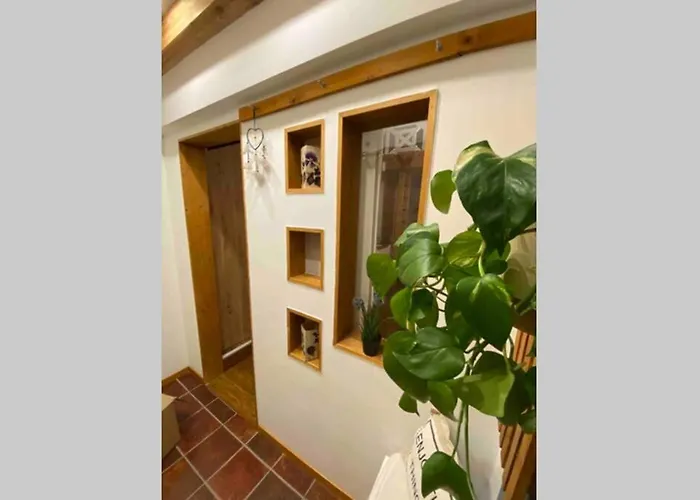 Im Westerwald Westerwaelder Herzstueck Langenbach bei Kirburg